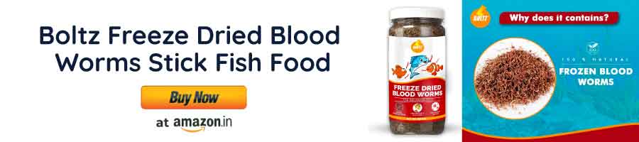 Boltz Freeze Dried Blood Worms Stick Fish Food 50 Grams for All Life Stages Bettas, Tetras, Arowana, Flowerhorn, Oscar Fish