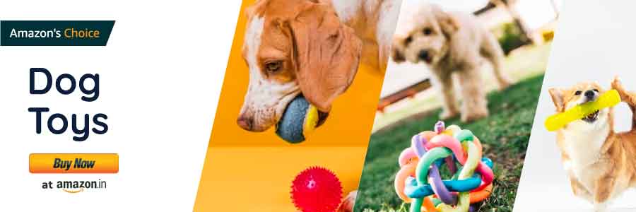 Buy Dog Toys Online at Best Prices