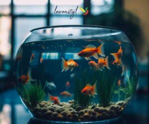 Fish-Aquariums--A-Comprehensive-Guide-to-Setup,-Care,-and-Maintenance