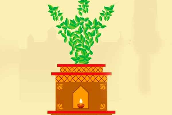 Tulsi-Festival--Know-the-Best-Significances-to-celebrate-the-Festival-banner